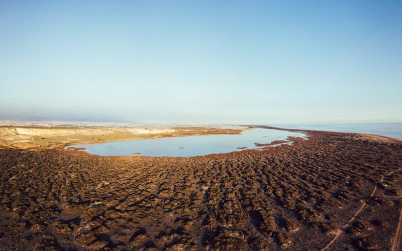 Punta Entinas-Sabinar