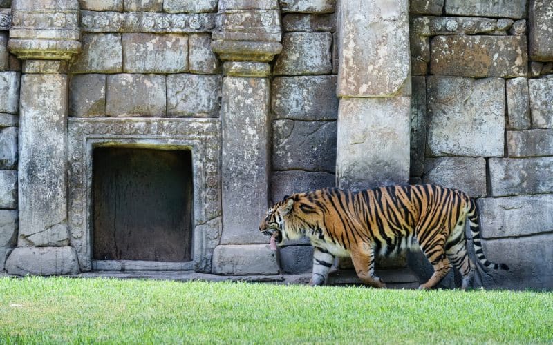 Bioparc Fuengirola