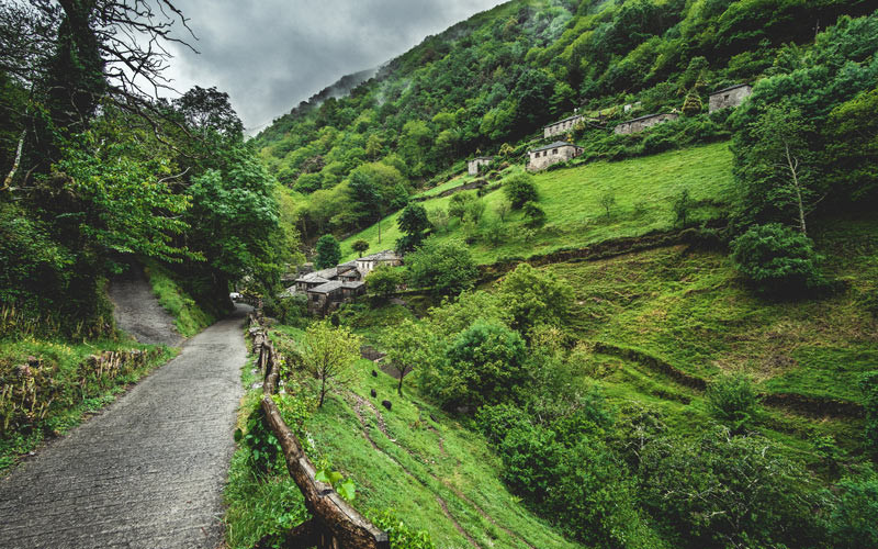 Chemin vers Os Teixois