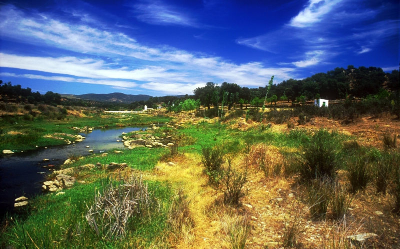 Paysage naturel de la Sierra Norte de Séville