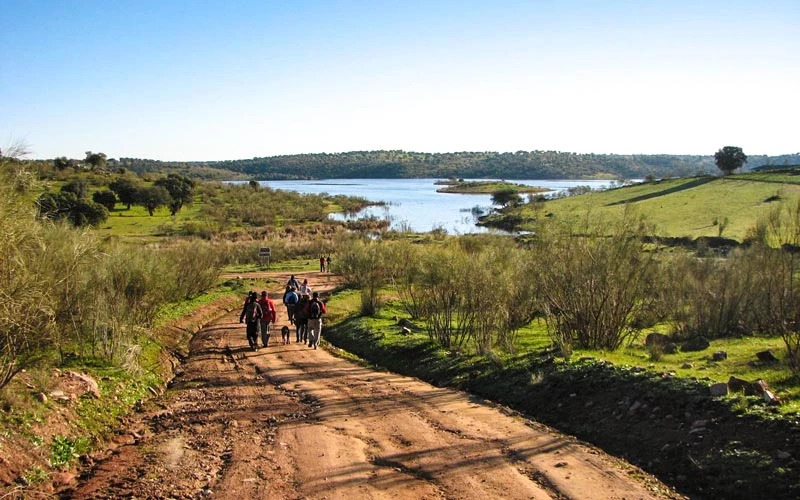 Chemin de transhumance de la Mesta