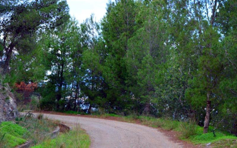 Chemin de La Cañada Vargas vers le gisement El Maraute