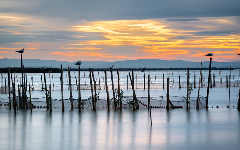 L'Albufera