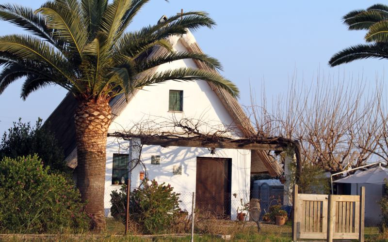 Cabane de pêcheurs à l’Albufera