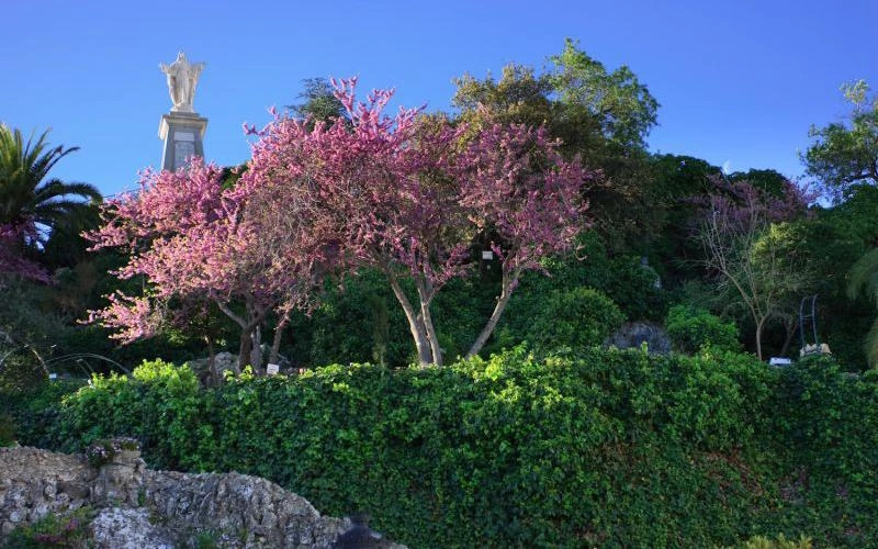 Rocher du Sagrado Corazón et Place d’Andalucía