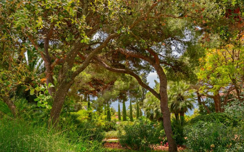 La végétation du jardin botanique de Marimurtra est très variée