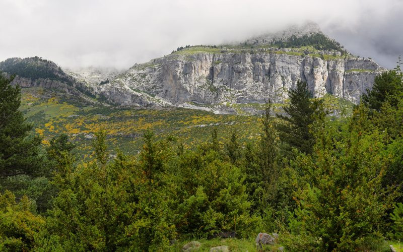 Paysage Pyrénéen aux alentours des Gorges d’Escuaín