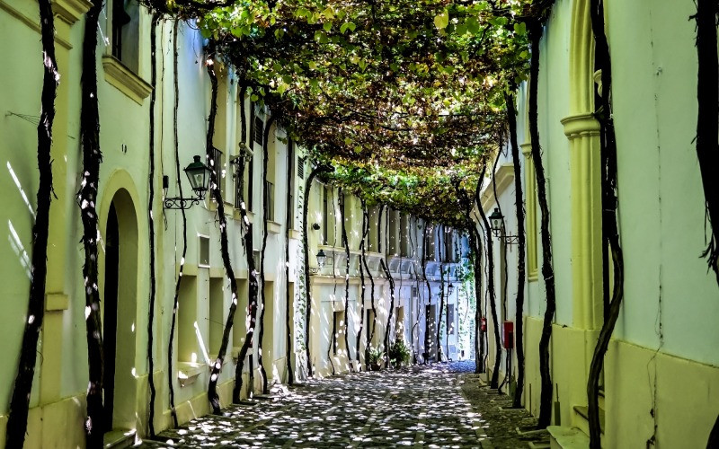 Rue de l'ancien quartier de Jerez de la Frontera