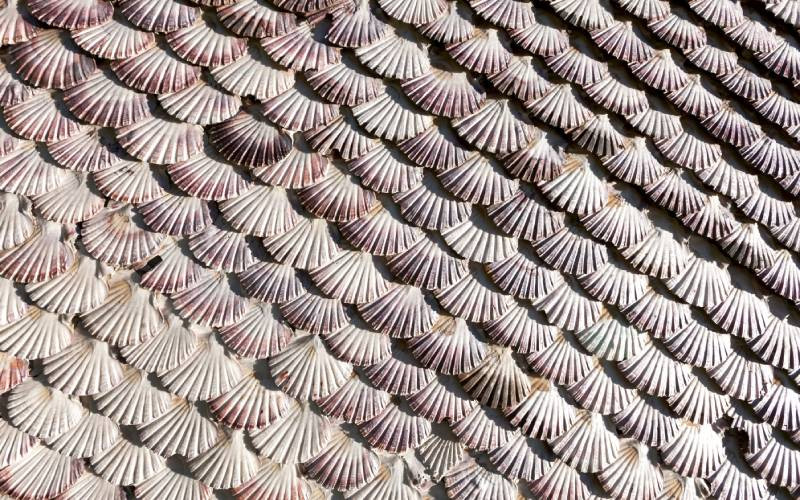 Les coquillages couvrent la façade de la chapelle de La Toja