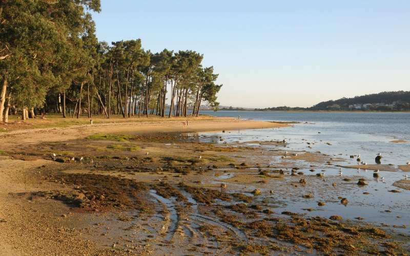 L'île de La Toja