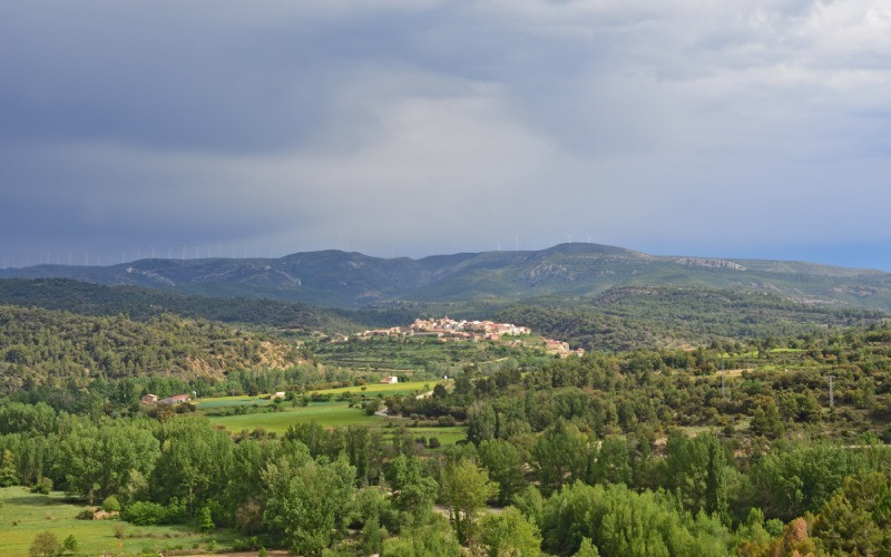 Végétation du Maestrazgo entre Teruel et Castellón