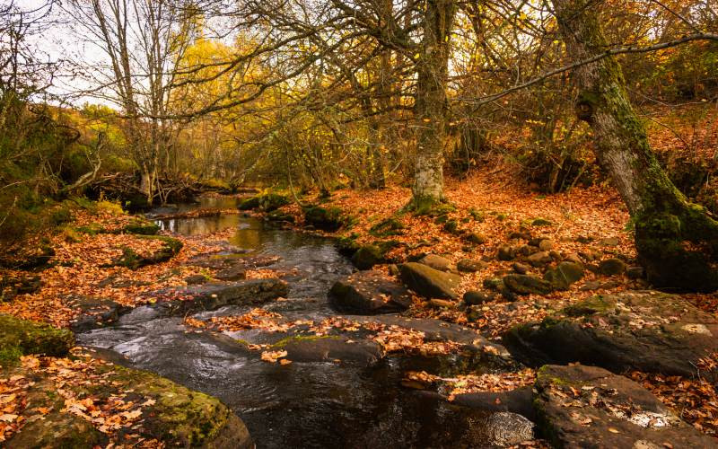 Automne à Las Loras, Aguilar de Campoo