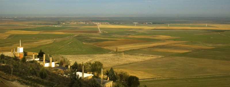 Landes de Palencia, l'une des régions castillanes de l'IGP