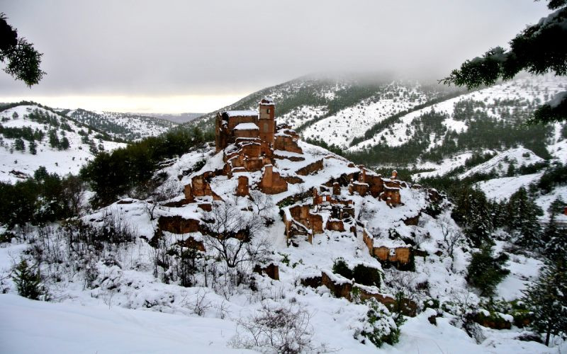 Turruncún en hiver