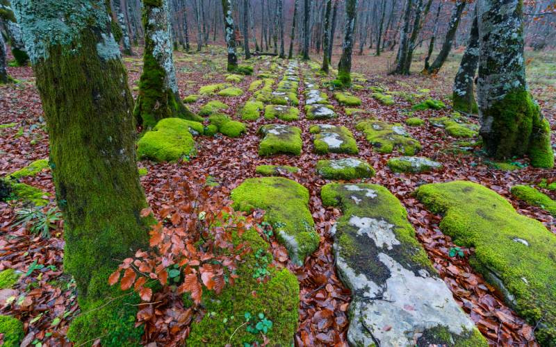 Les sentiers du Mont Santiago en automne