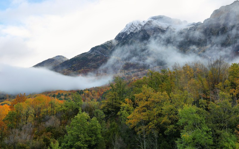 Une des forêts entourant le lac de barrage de Búbal