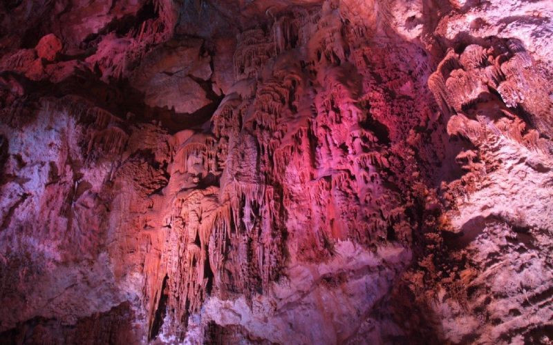 Grottes du Canelobre