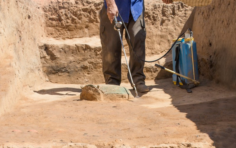 Travaux archéologiques à Guareña