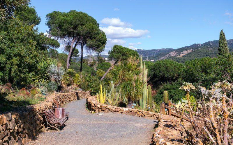 Un échantillon de la grande variété de végétation qui coexiste dans le jardin