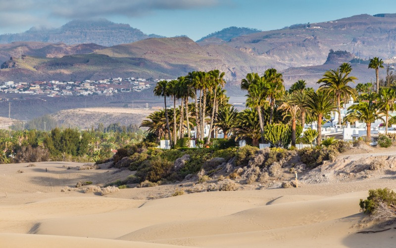 Maspalomas, un oasis à connaître