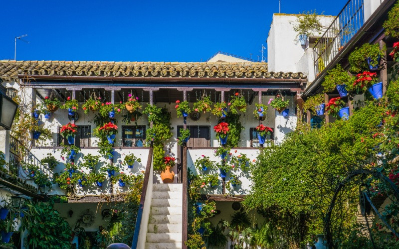 Une harmonie parfaite entre les fleurs et l'architecture traditionnelle