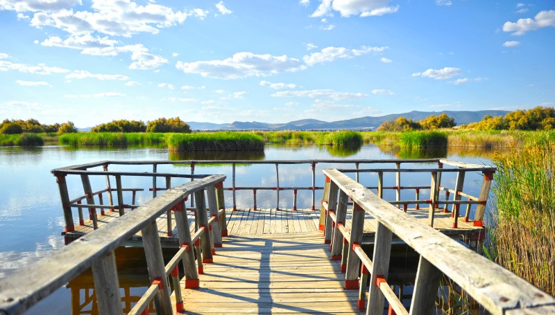 Vues depuis l’une des passerelles de Las Tablas de Daimiel