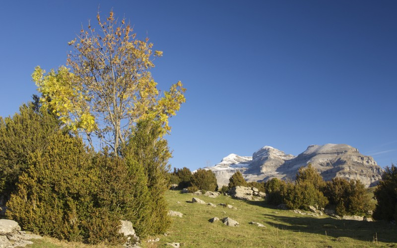 Sa vue, même de loin, est impressionnante