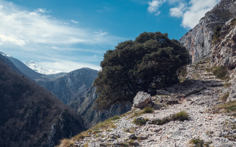 La route Tresviso-Urdón est l'une des préférées des amateurs de montagne 