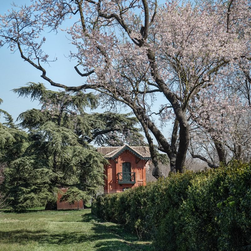 Maison de garde surveillant les amandiers en fleurs