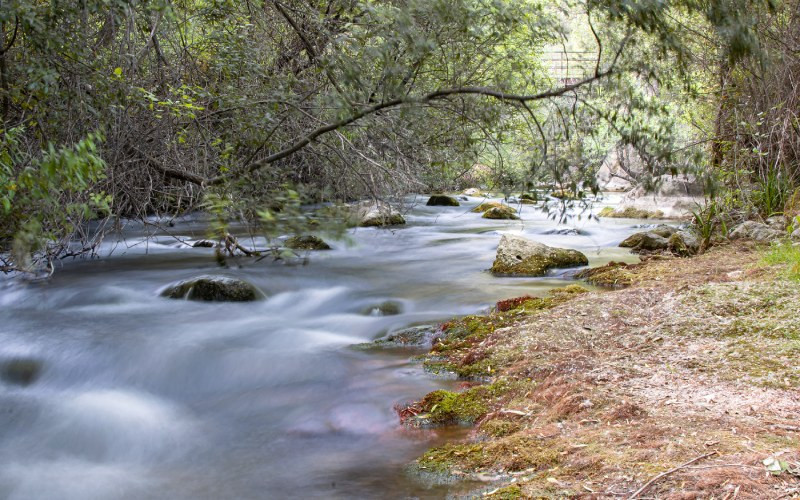 Une autre perspective de la rivière Castril 