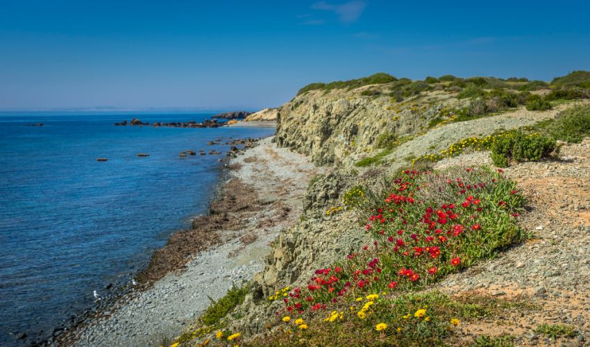 Une des plages de Nueva Tabarca dans la partie non construite de l'île