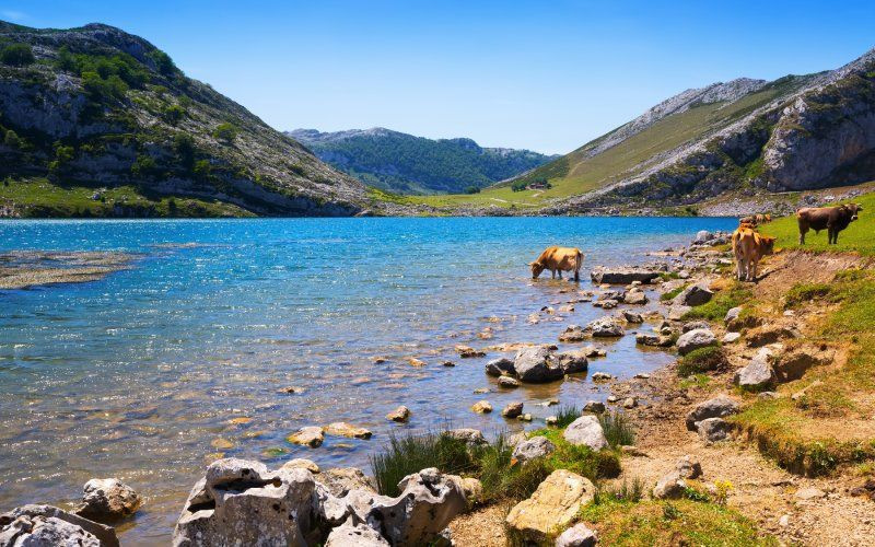 Les lacs de Covadonga, nature et culture