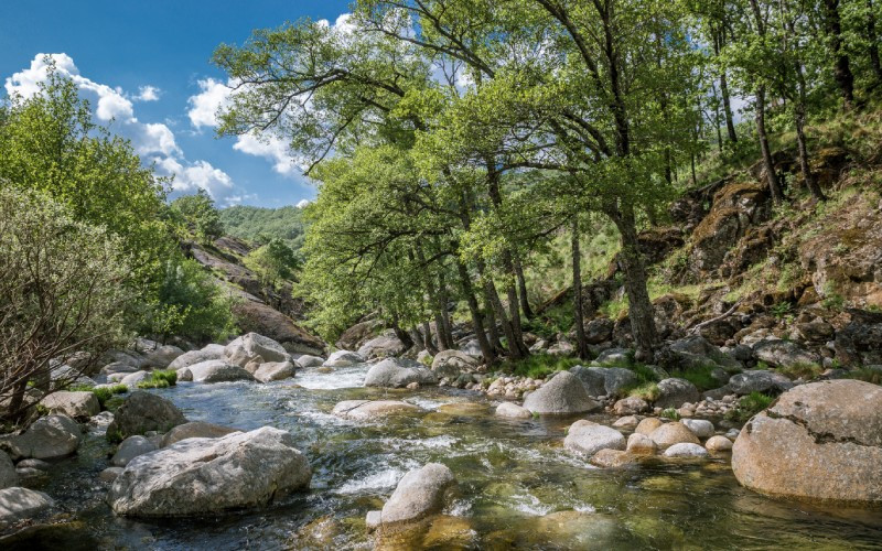 Les espaces naturels présents sur cet itinéraire sont très riches