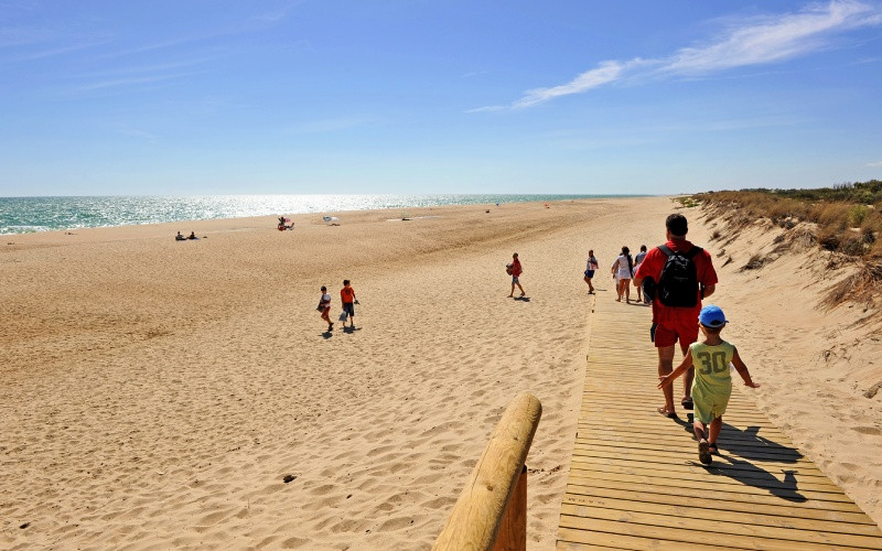 Sur la Flecha del Rompido, vous pourrez profiter de l'une des meilleures plages de Huelva