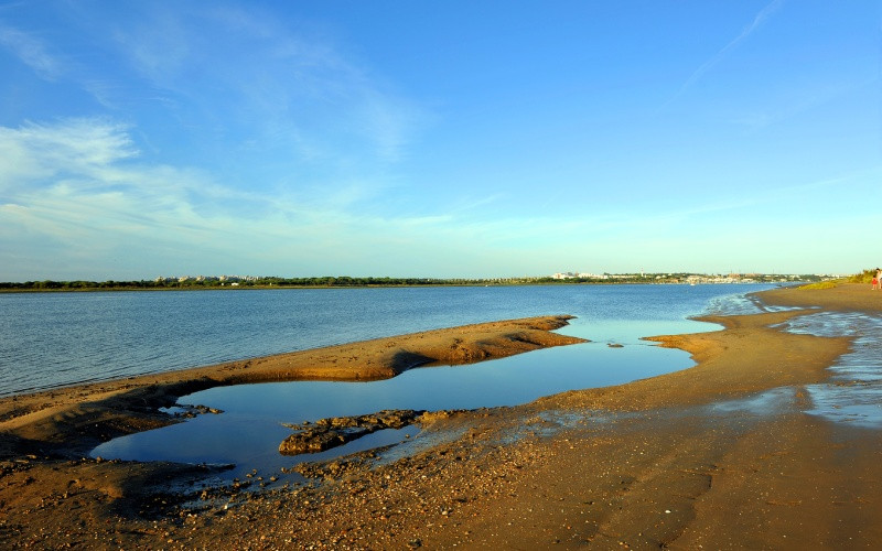 Aire protégée Marismas del Río Piedras et Flecha de El Rompido