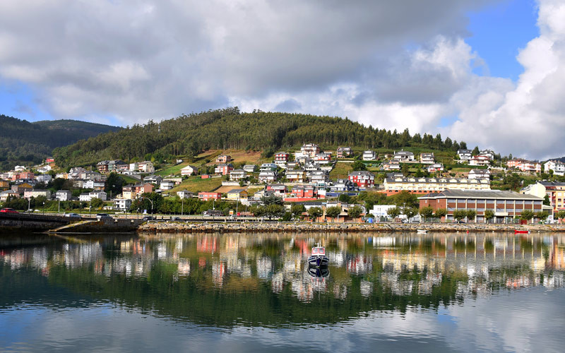 Viveiro 