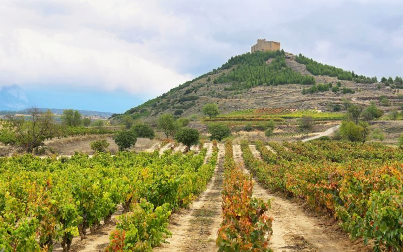 Le château de Davalillo au milieu des vignes