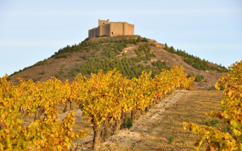 La silhouette de la forteresse fait partie du paysage de La Rioja