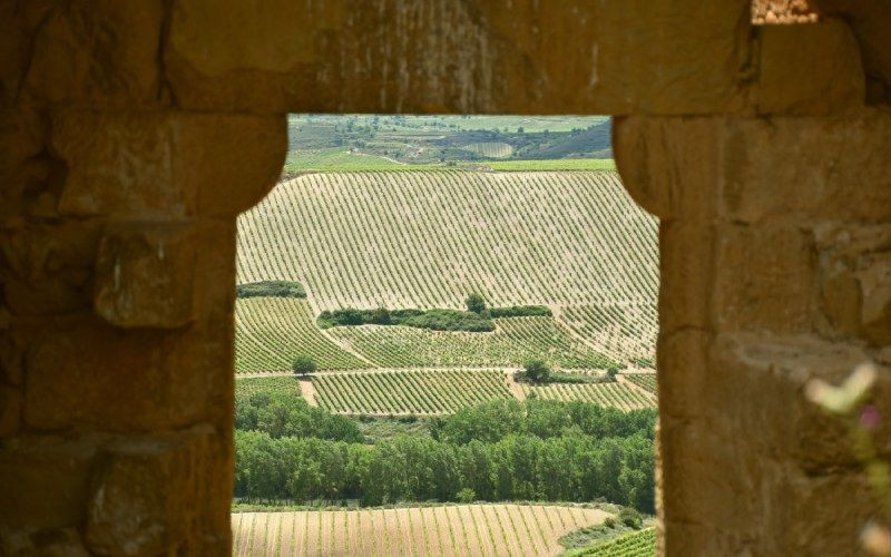 Porte principale du château de Davalillo