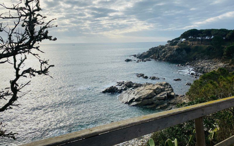 Le chemin côtier vers la crique S'Alguer