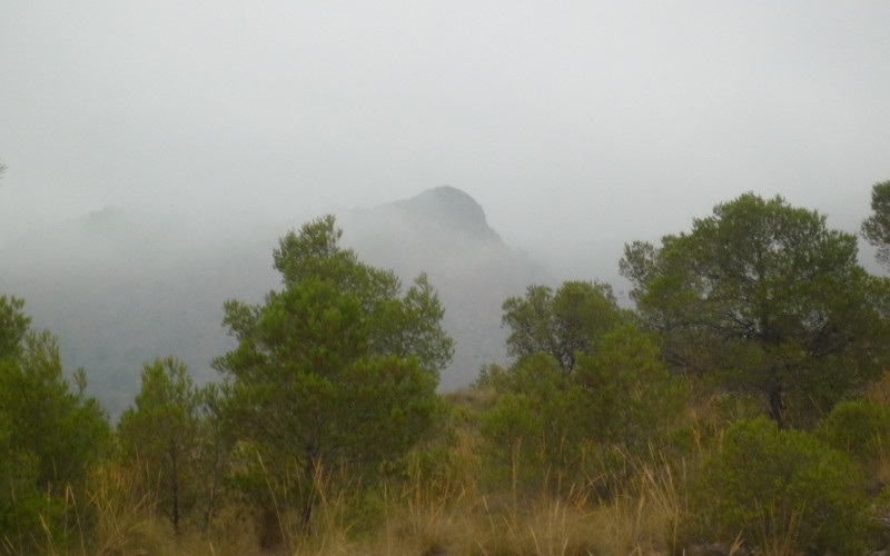 Piton volcanique de Cancarix