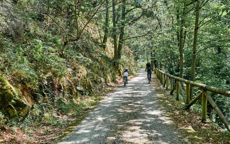 Des centaines de cyclistes parcourent le Sentier de l’Ours chaque année