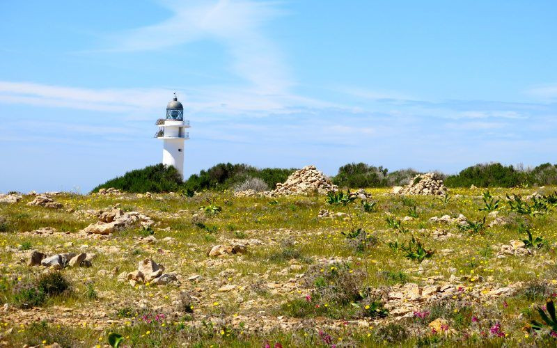 Vue du Cap Barbaria avec le phare en arrière-plan