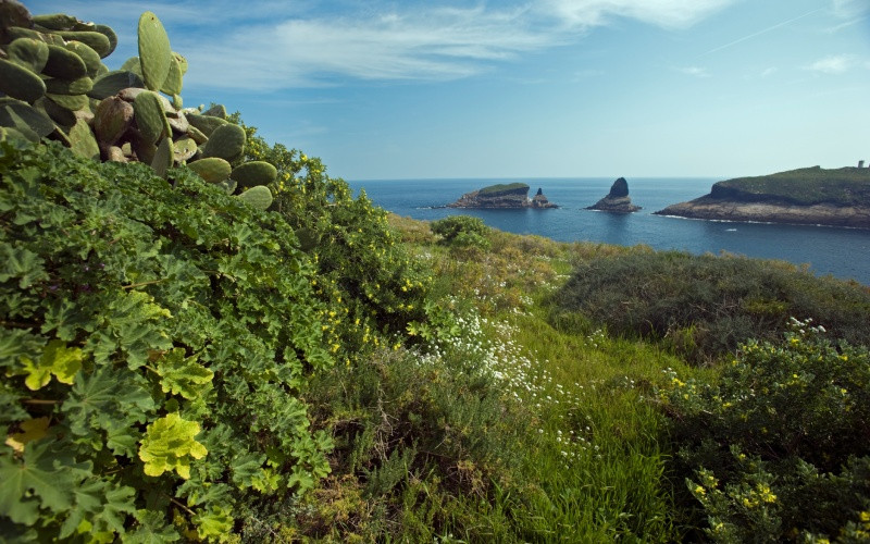 Les îles Columbretes