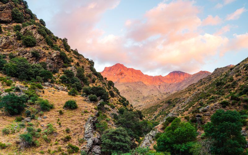 Il est impossible de ne pas s'arrêter pour apprécier la beauté naturelle du parc national de la Sierra Nevada