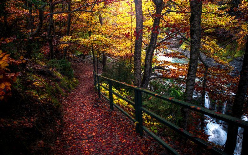 L'automne est la meilleure période pour visiter la vallée d'Ordesa