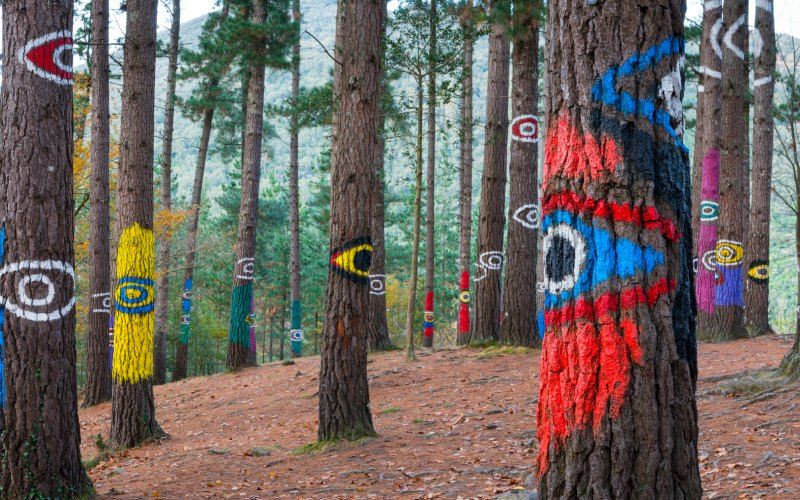 Forêt d’Oma et ses magnifiques peintures