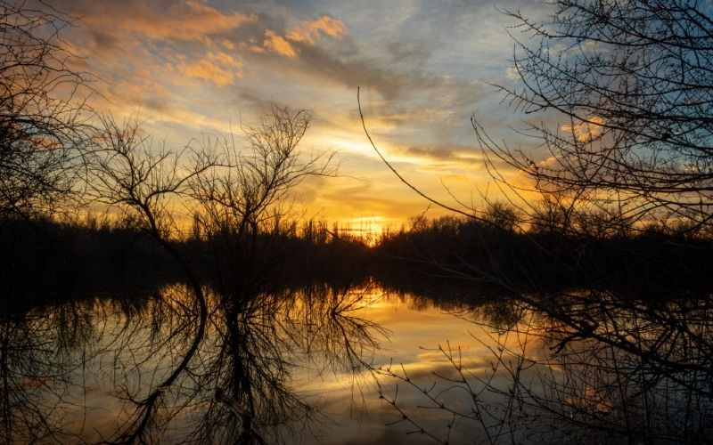 Coucher de soleil depuis l'un des nombreux coins du Galacho de Juslibol