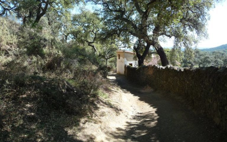 Chemin pour arriver à El Calabacino