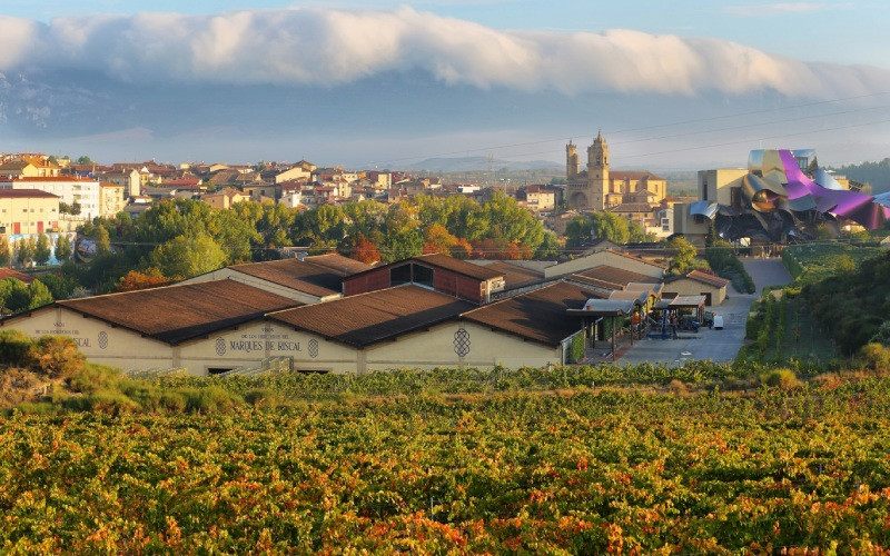 Paysage du Marqués de Riscal à Elciego